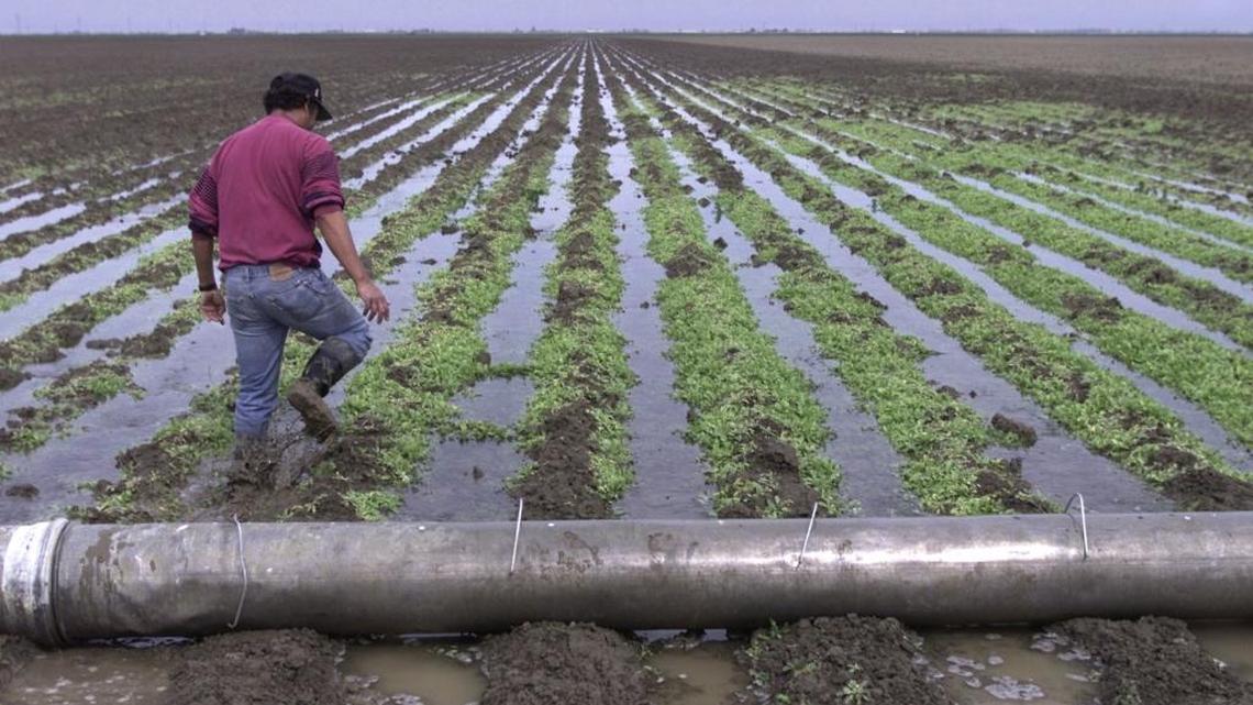 Several San Joaquin Valley water quality groups have received a $2 million grant from the federal government to address nitrate leaching from irrigated agriculture.