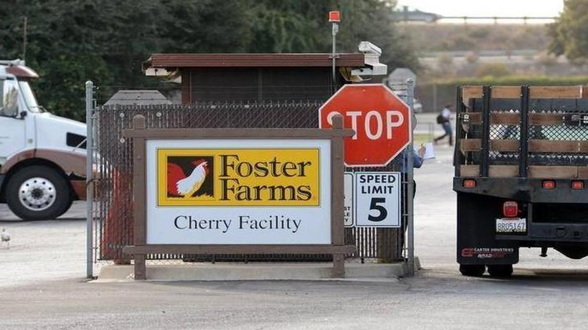 
Entrance to the Cherry Avenue Foster Farms plant in southwest Fresno, one of two in the city.
