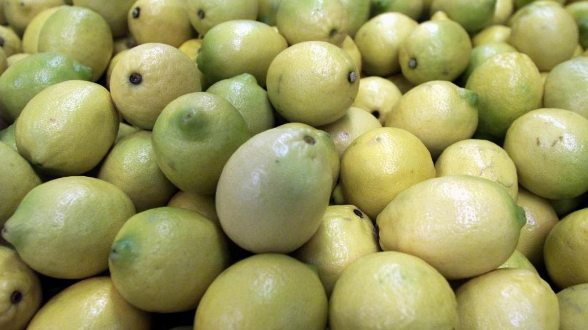 Fowler’s Bee Sweet Citrus Inc. handles a lot of lemons as well as navel oranges this time of year.
