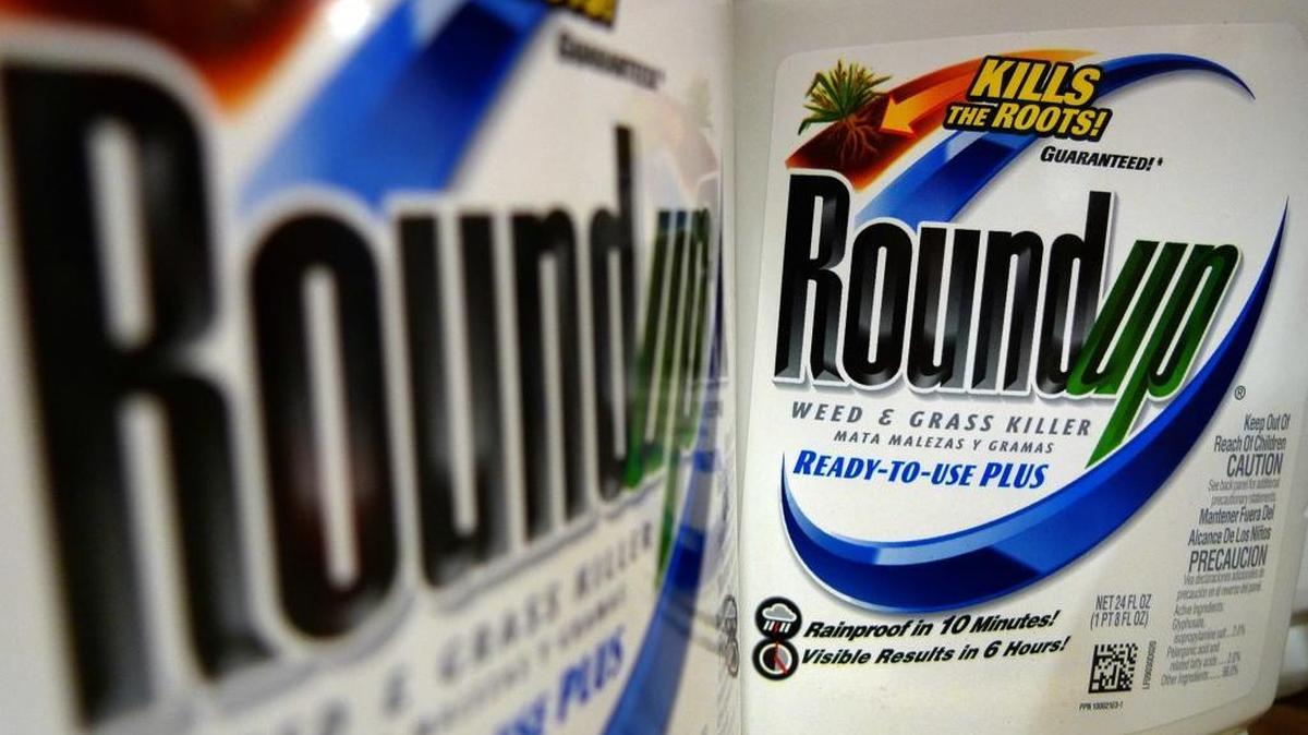 Chemical giant Monsanto has lost its effort in Fresno County Superior Court to stop California from listing a key ingredient in its popular herbicide, Roundup, as a carcinogen. A Fresno County Superior Court judge issued her final ruling Friday.