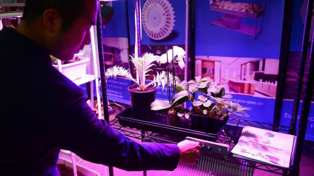Alvis Ma of Grow-Spec changes the color and intensity of his company’s grow lights on display at the 50th annual World Ag Expo in Tulare on Tuesday, Feb. 14, 2017.