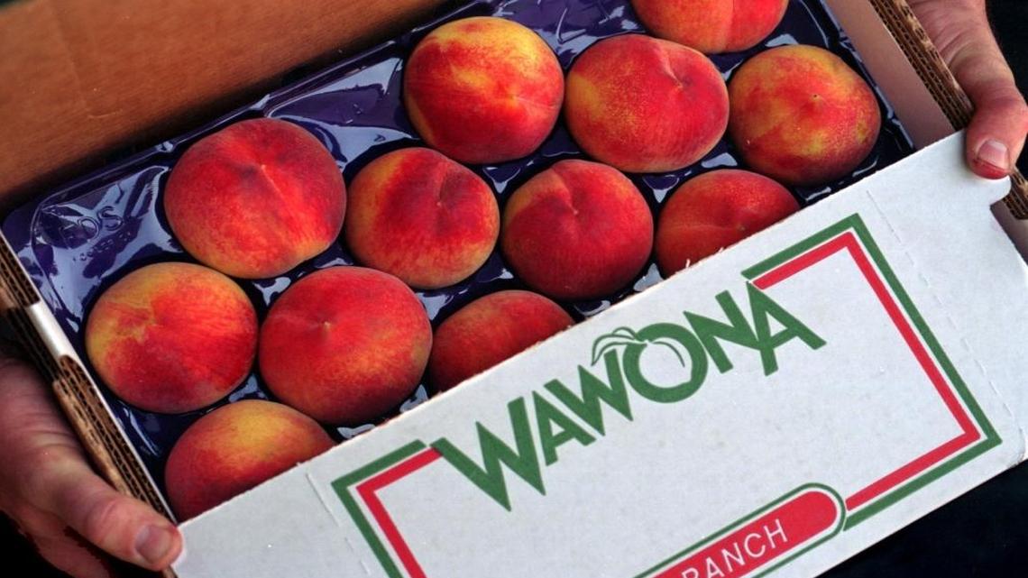 The Smittcamp family, operators of several food businesses, including Wawona Frozen Foods and Wawona Packing, is supplying the major fast food chain with peaches for their line of summer smoothies.