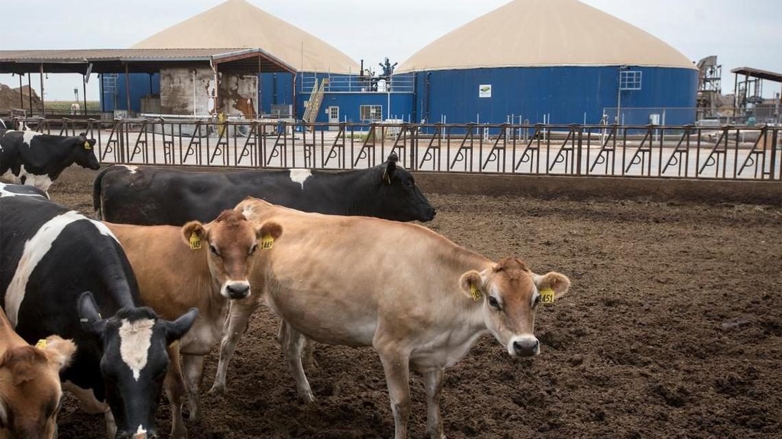 
Bio Digester at Fiscalini Farms in Modesto.
