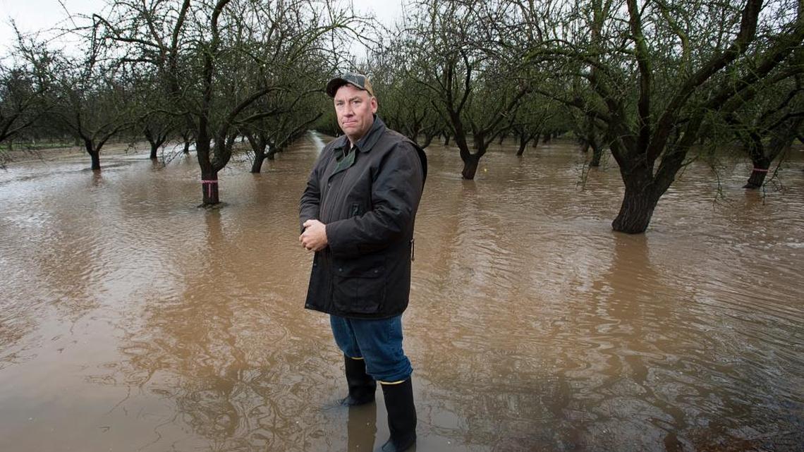 Modesto farmer Nick Blom stands in his 5-acre almond orchard intentionally flooded with stormwater as an experiment to restore the depleted aquifer on Tuesday, Jan. 19, 2016, in Modesto, Calif. If the water was not diverted to the Blom farm, the stormwater would flow into the Tuolumne River.