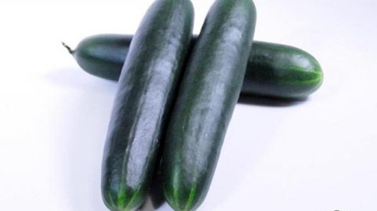 
A Custom Produce Sales image of cucumbers
