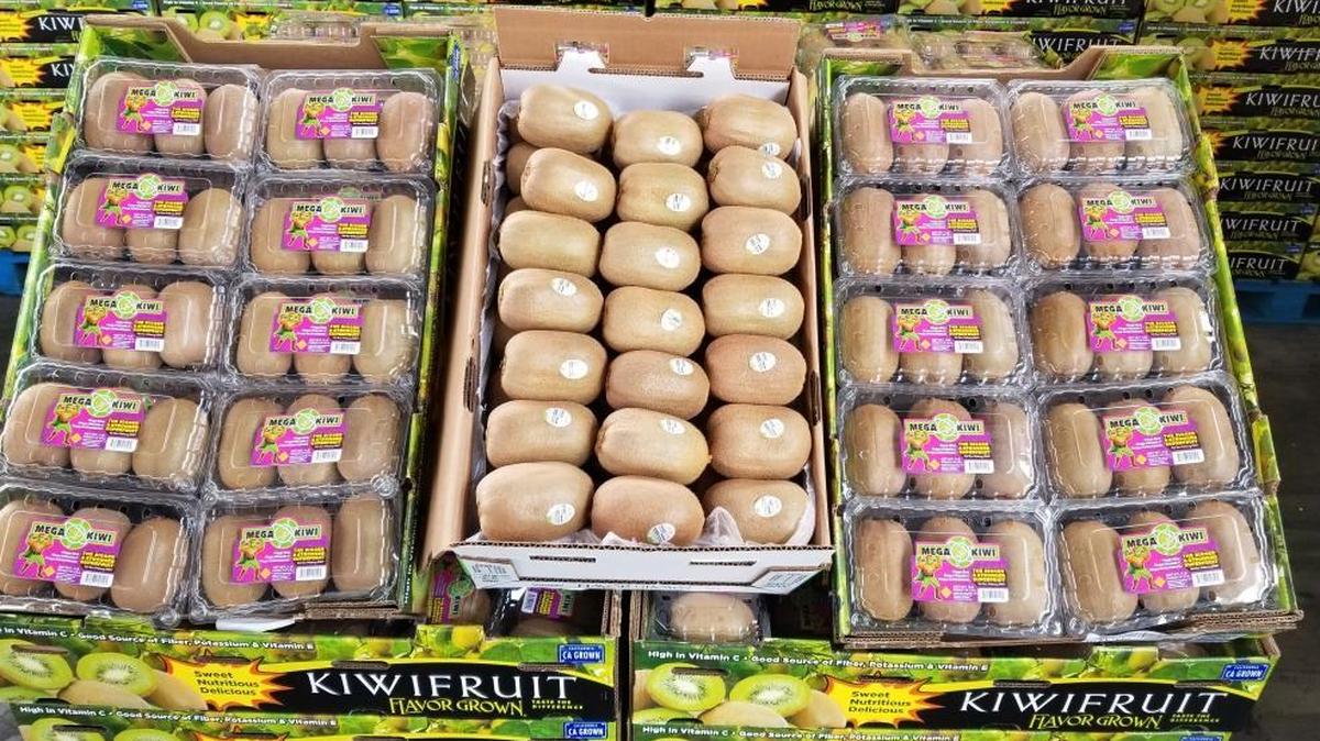 The Kliewer family of Reedley are growers of the Mega Kiwi, the largest such type of the fruit.