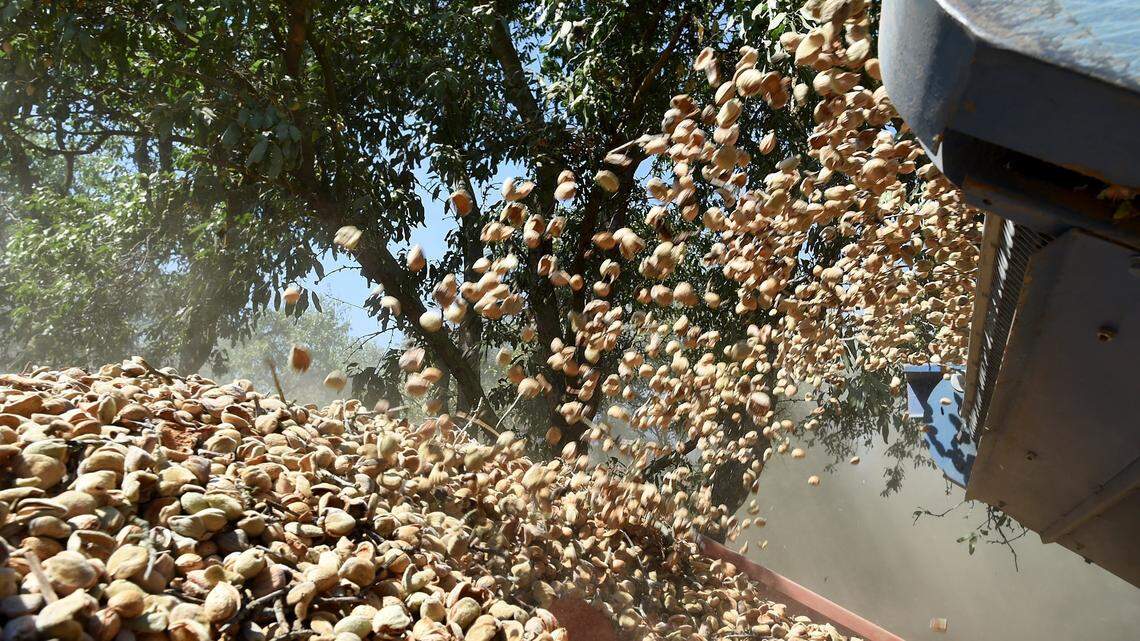 California's almond acreage grew to more than 1.3 million acres in 2017, an increase of 7 percent.