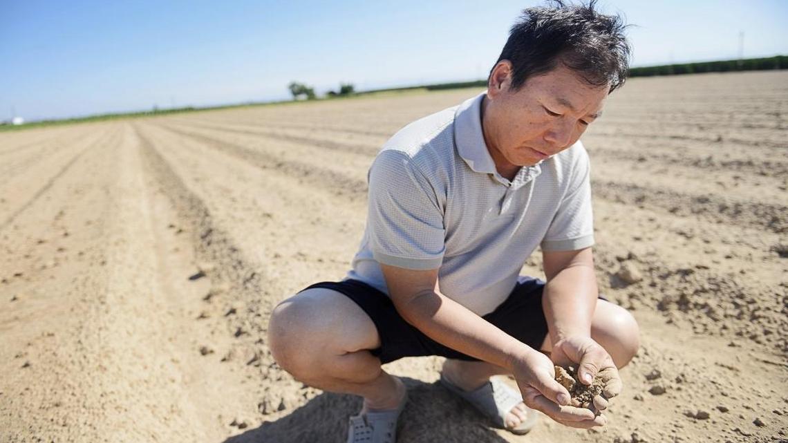 
Cha Lee Xiong farms on 20 acres he owns near Sanger. His well went dry, so he has let most of his land go fallow. He borrows water from his neighbor’s well to plant vegetables on eight acres but is limited to watering at certain times, so his yield is less that half. Xiong is part of The Bee’s exclusive photo gallery, “Faces of the Drought,” at www.fresnobee.com/water
