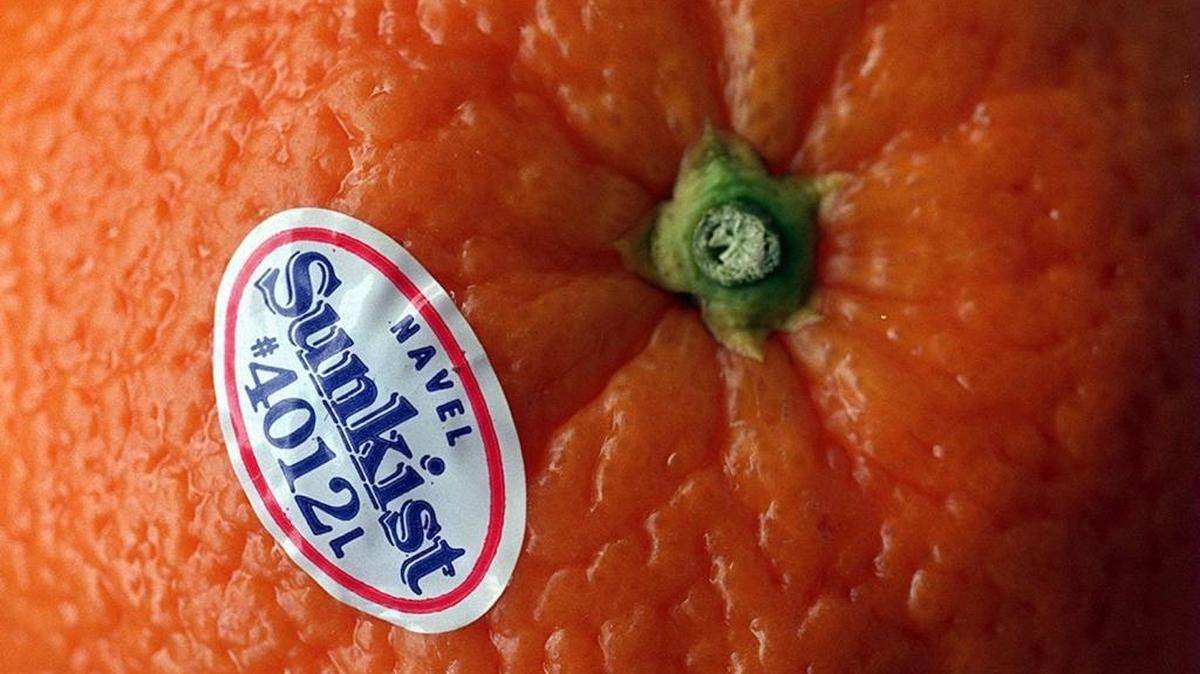 

Sunkist Growers is No. 24 on the list of the nation’s top 100 cooperatives in 2014, up eight places from 2013.
