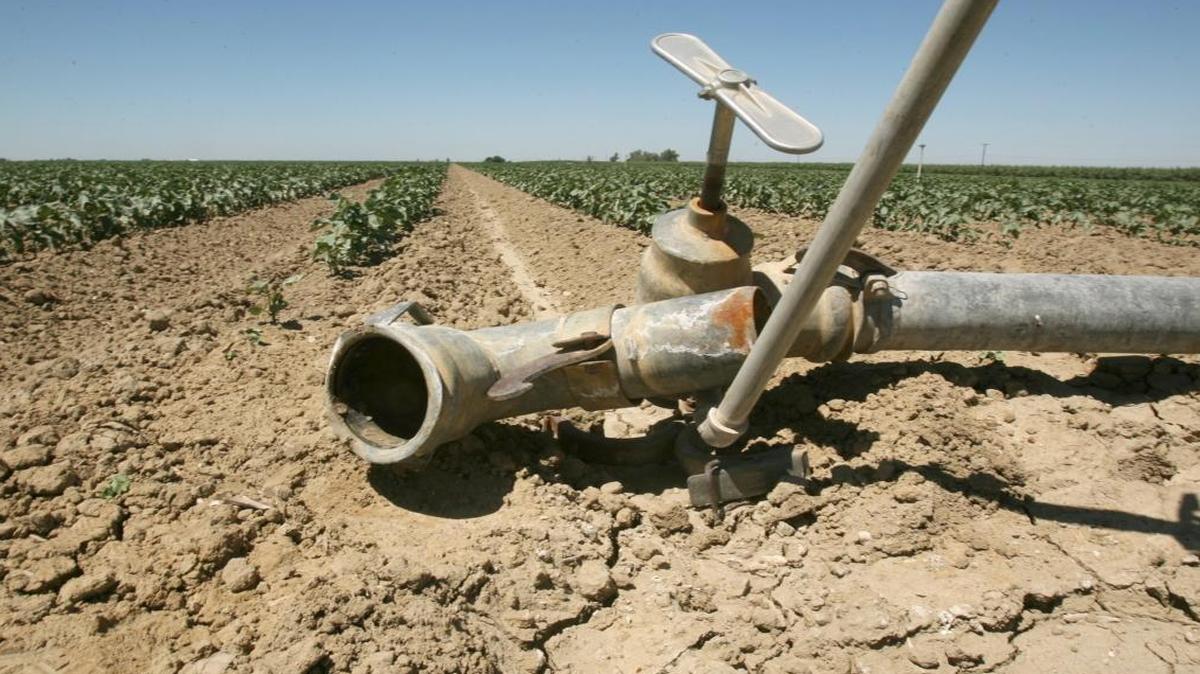 An irrigation pipe has been disconnected at a cotton field in this 2008 photo.
