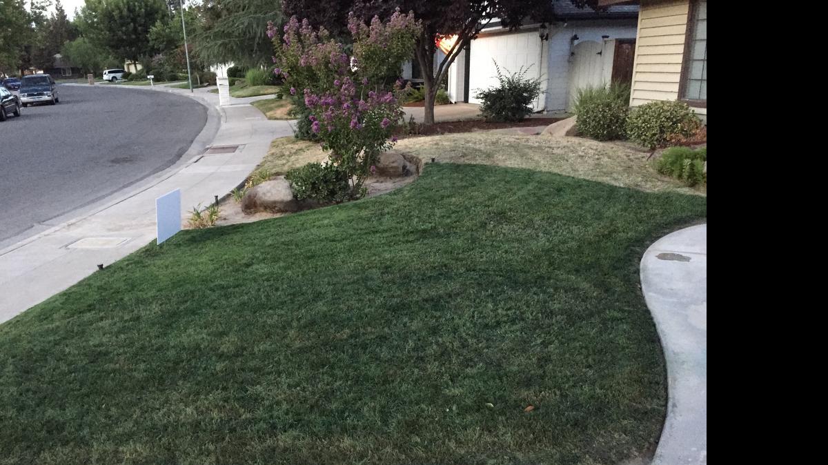 
A lawn after it’s been painted by Ultimate Property Concept.
