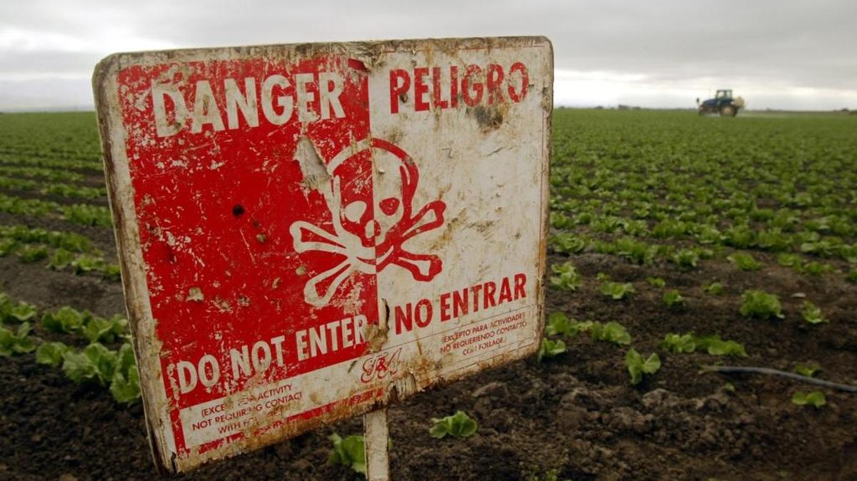 
A “Do Not Enter” sign marks a field of head cabbage during the spraying of pesticides near Chualar. The Environmental Protection Agency is strengthening some laws on pesticides.
