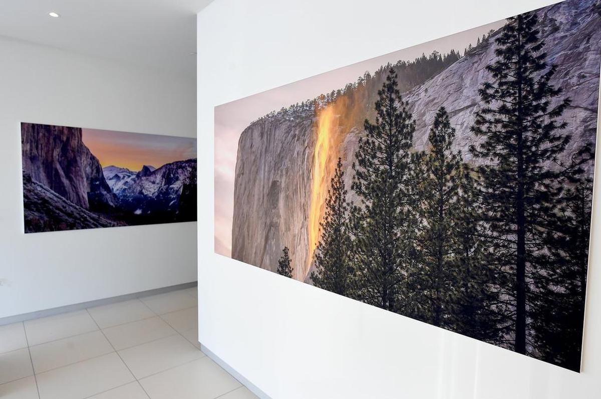 Along with being a showroom for the Haron Jaguar Land Rover automobiles, the downtown Fresno dealership doubles as a gallery for photographs by owner Randy Haron.