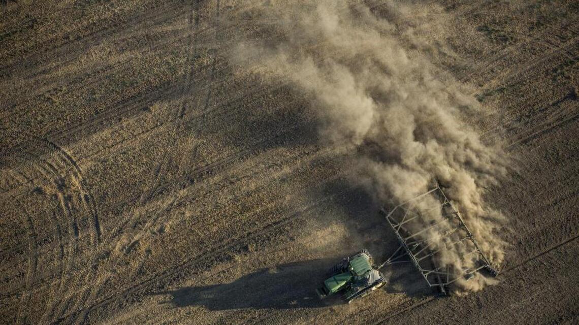 World Ag Expo putting hemp in spotlight for first time with exhibits, seminars
