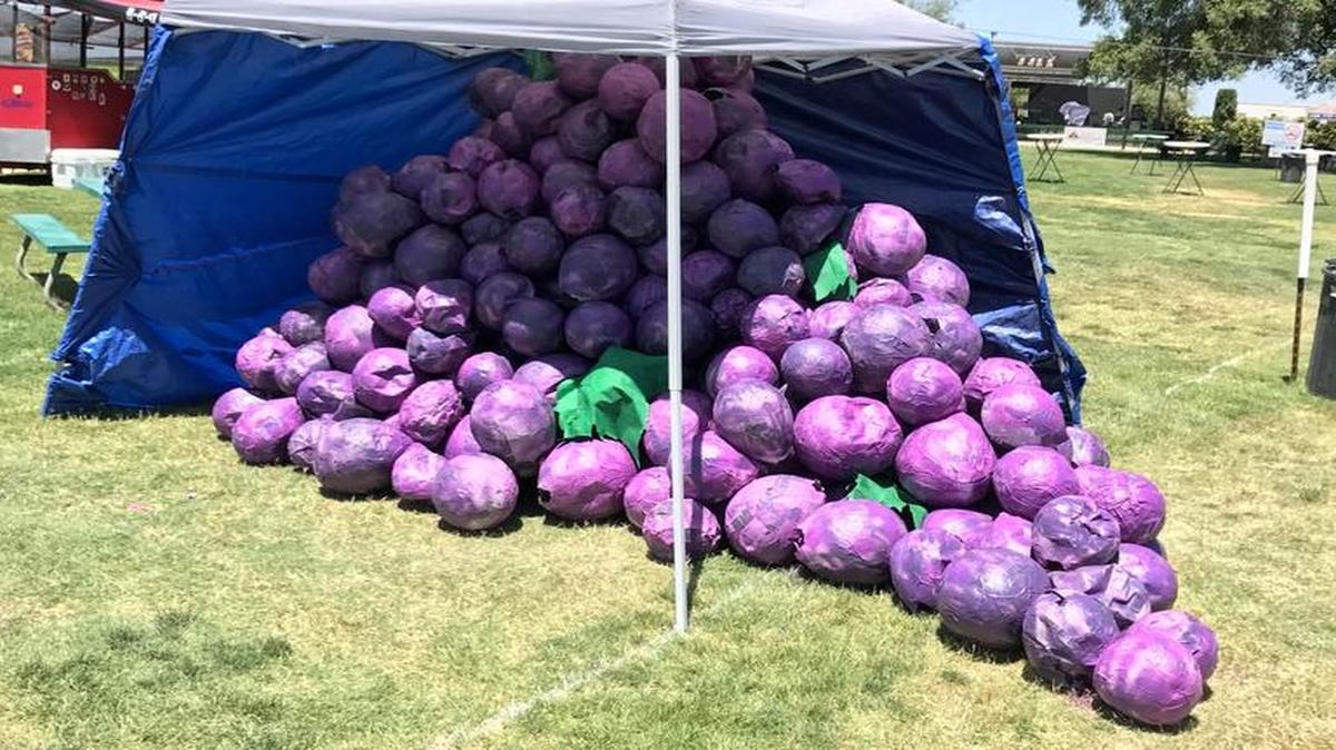 The paper maché grape sculpture at the annual Craft Beer Festival at ApCal in Madera before noon on Saturday, May 13, 2017.