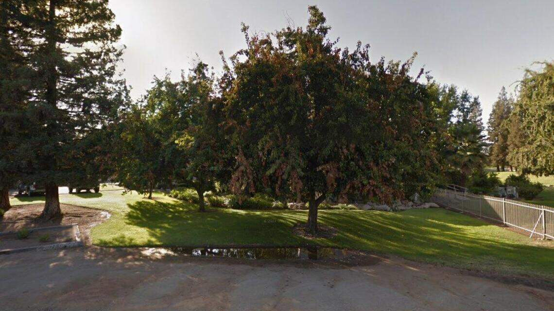 A 3-bedroom house sold in Clovis sells for $1.3 million. Here are the details.