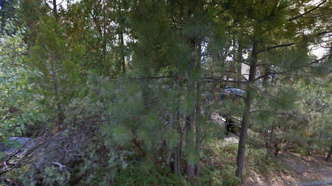 How much did the 8 most expensive homes sell for in Shaver Lake the week of Aug. 20?