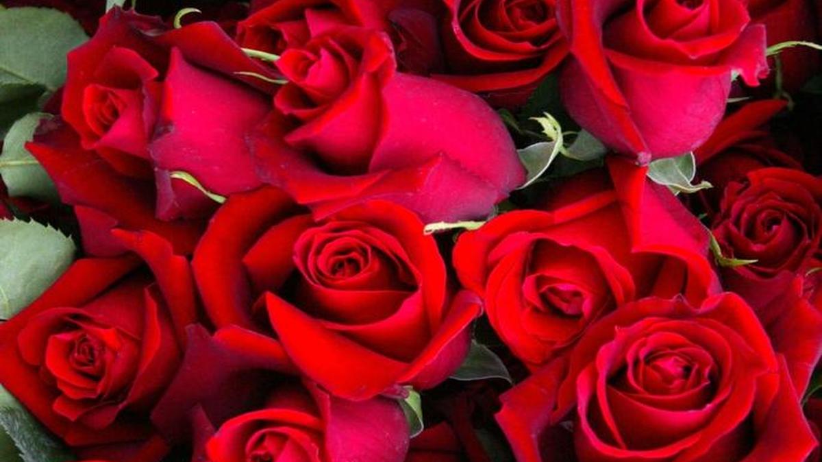 Even if you’re sending flowers to someone far away, you can contact a local florist in your hometown to place your orders.
