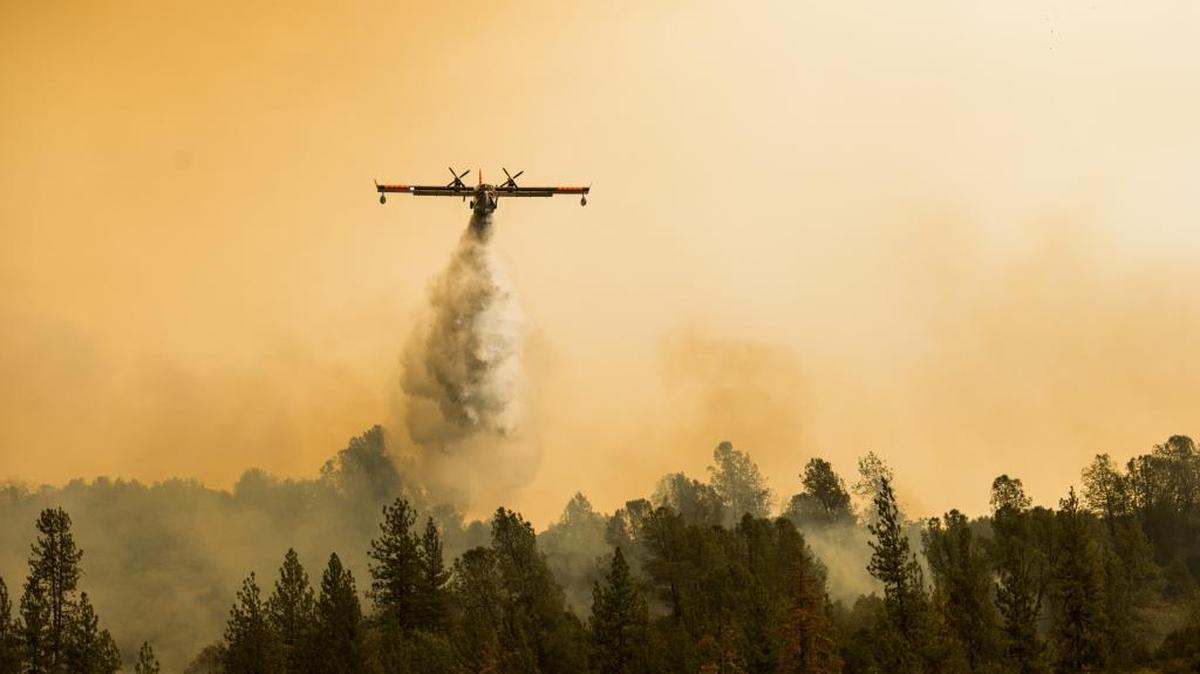 
Water is dropped onto a burn near Mokelumne Hill on Friday. The Butte fire started Wednesday afternoon east of the Amador County town of Jackson is forcing evacuations in the dry hills east of Highway 49.
