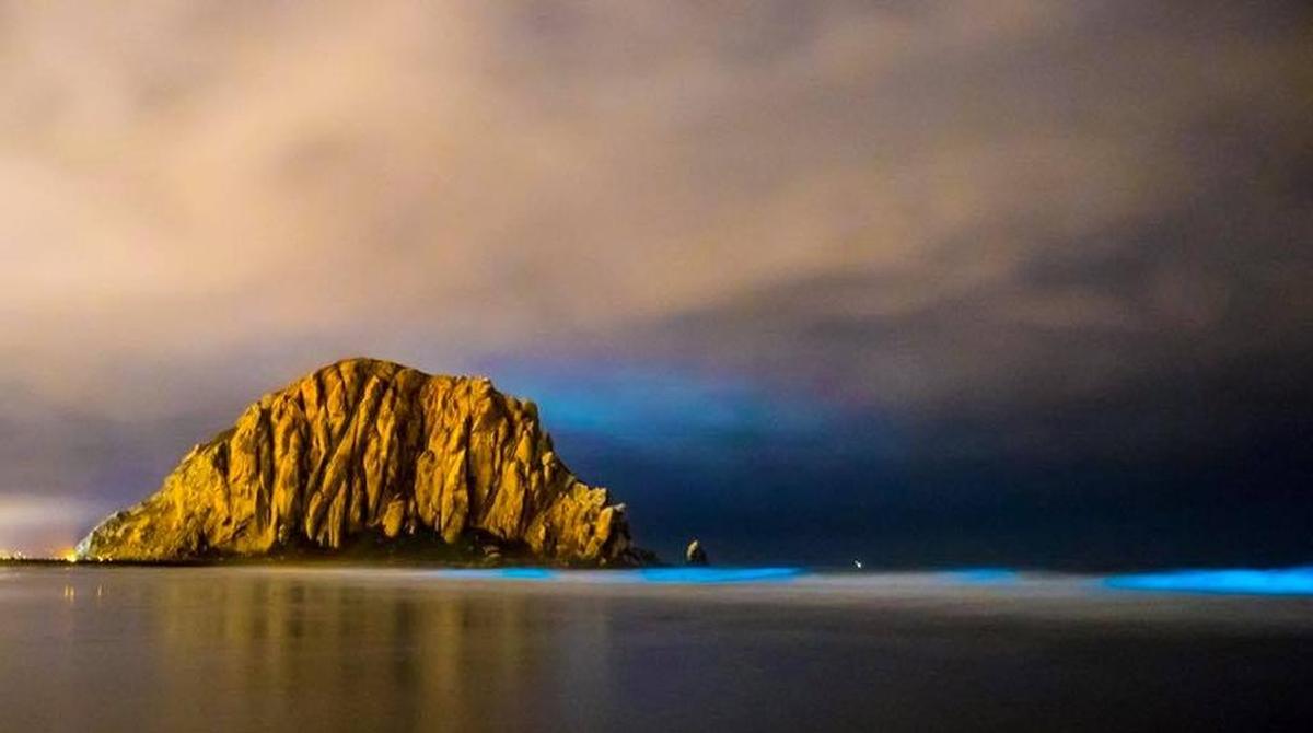 Bioluminescent phytoplankton light up the waves blue in Morro Bay in 2017.
