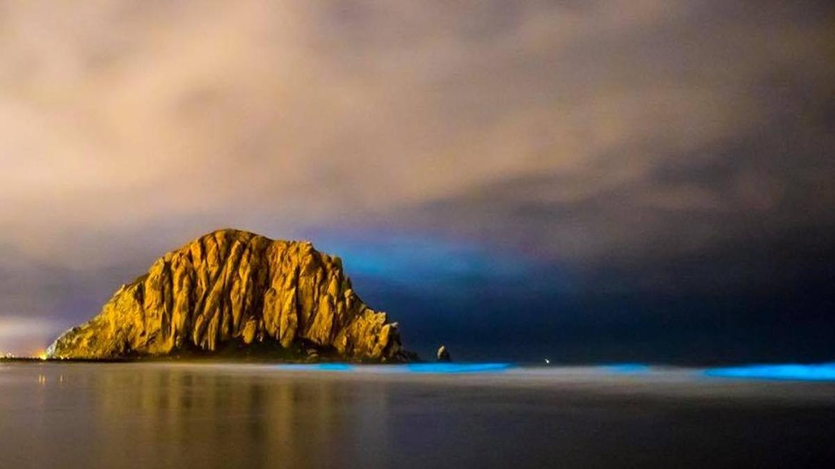 Bioluminescent phytoplankton light up the waves blue in Morro Bay in 2017.