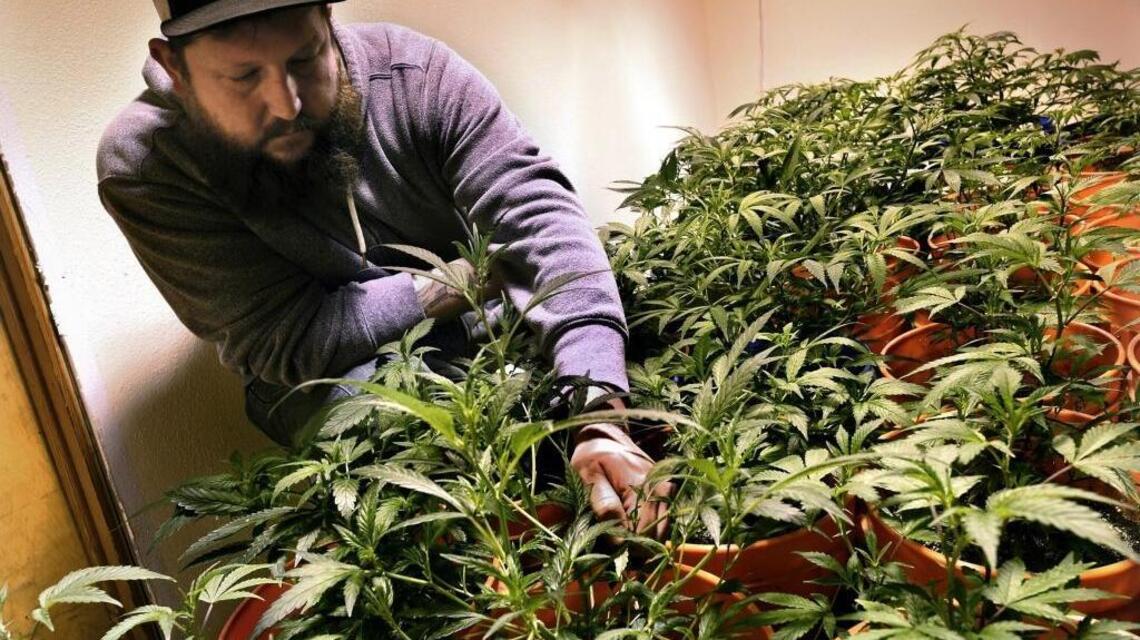If the White House comes after California pot, what will that mean?