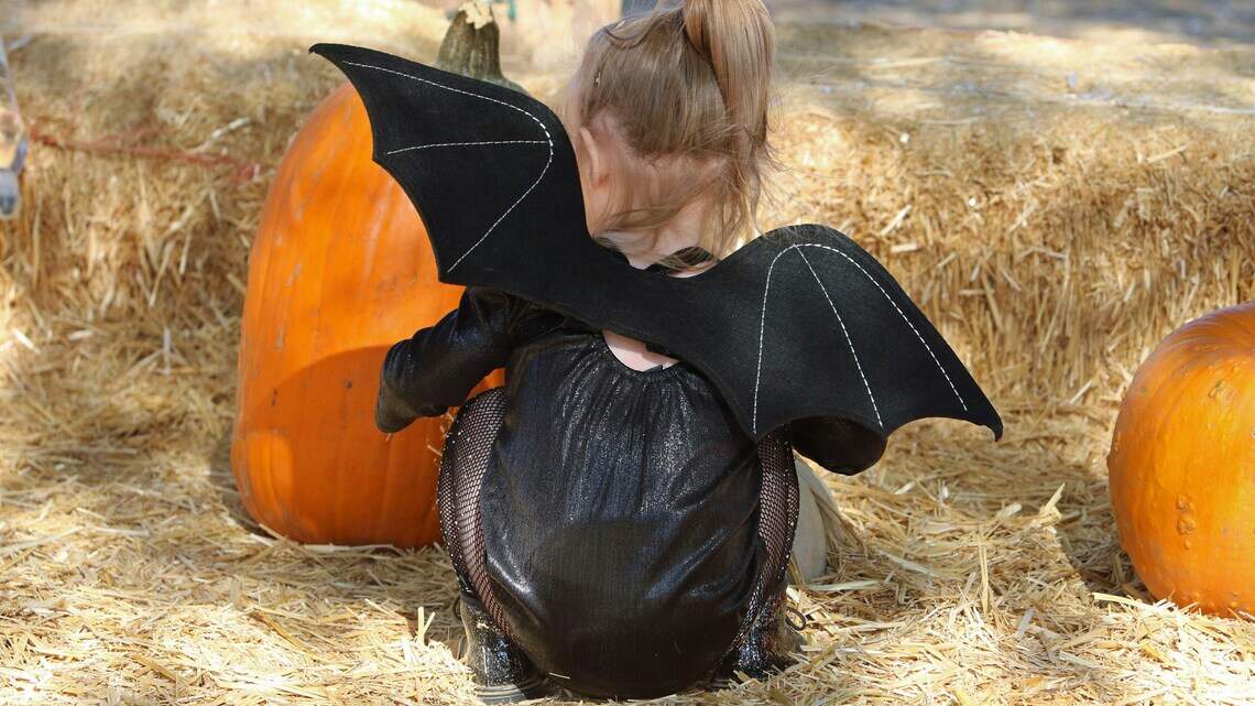 Will it rain in Fresno on Halloween? Here’s the forecast for trick-or-treating