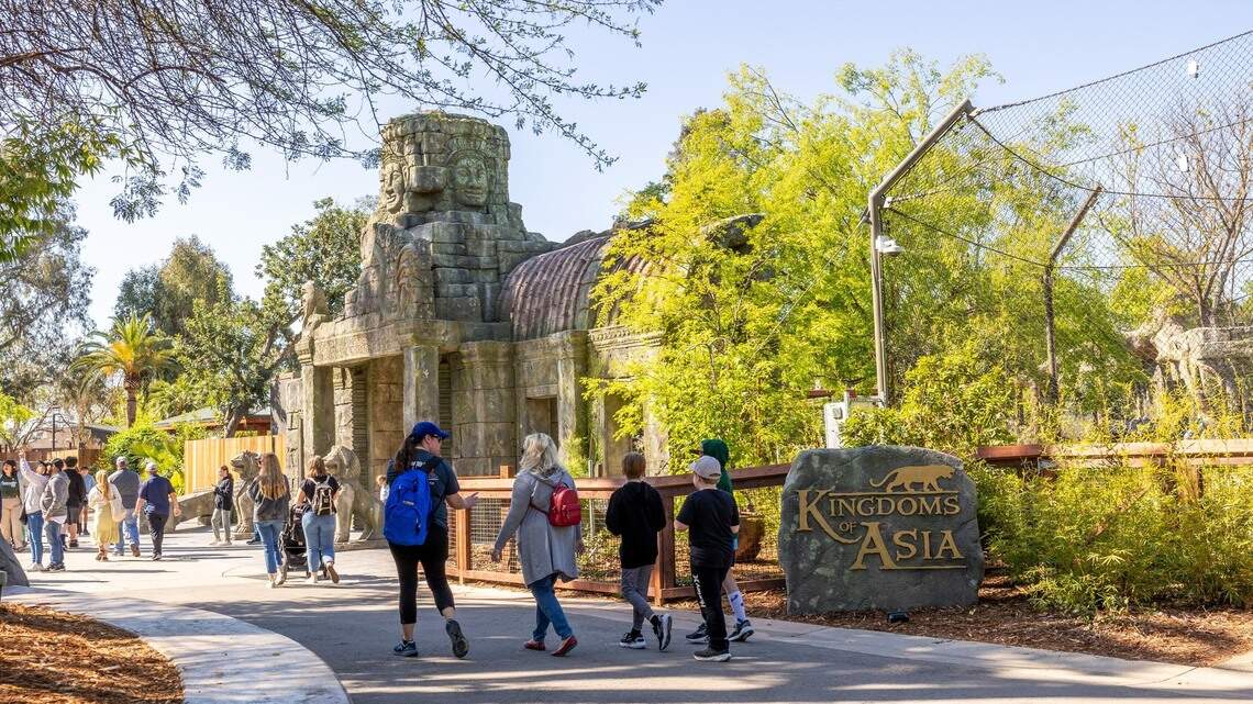 Fresno zoo wins 2 awards for helping wildlife. Learn about ‘rare achievement’