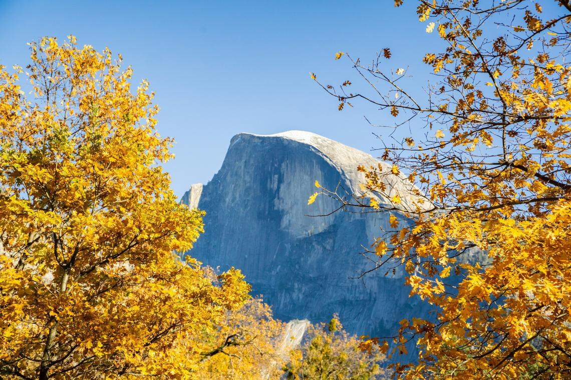 Here’s the best time to visit Yosemite National Park to see vibrant fall foliage. 