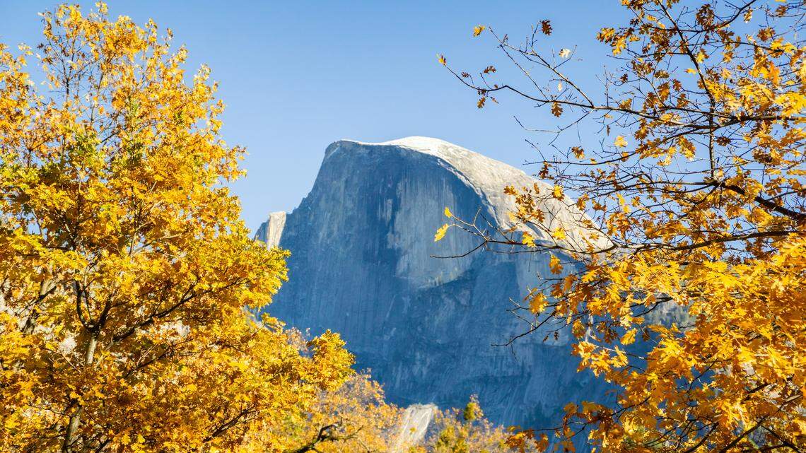 When will fall leaves peak at Yosemite National Park? Here’s the best time to go