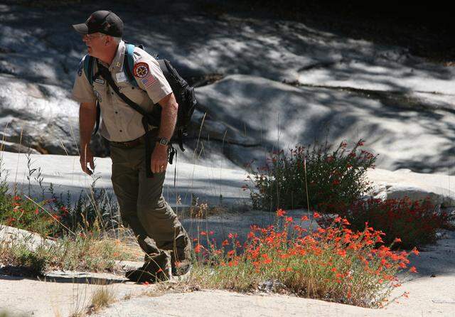 Andy Clendenning hikes past wildflowers growing out of granite formations along Willow Creek in September 2010.