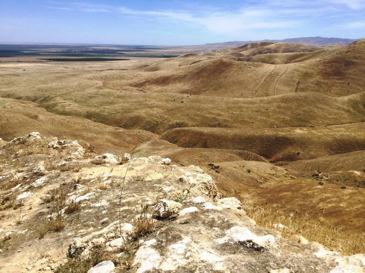 The Panoche Hills of western Fresno County are punctuated by rocky outcroppings, some of which contain fossils of ancient animals from tens of millions of years ago.