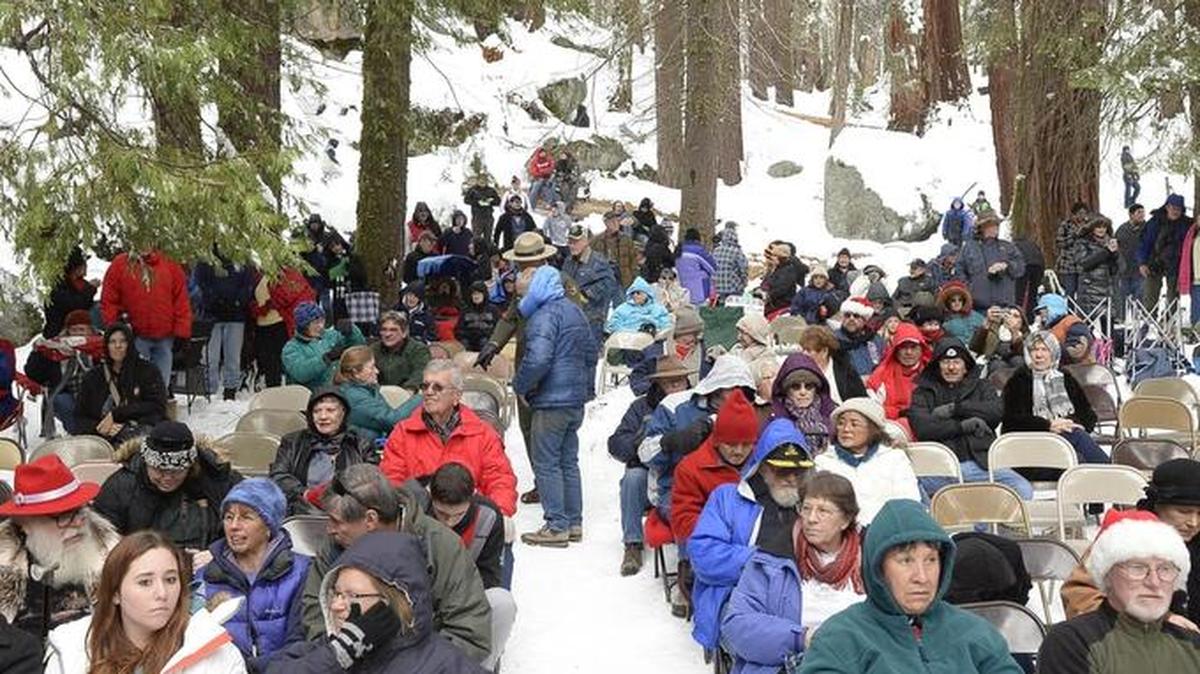 Several hundred people made the trip to the mountains for the 89th Annual Trek to the Nation's Christmas Tree at the Grant Grove in Sequoia National Park on Dec. 14, 2104.