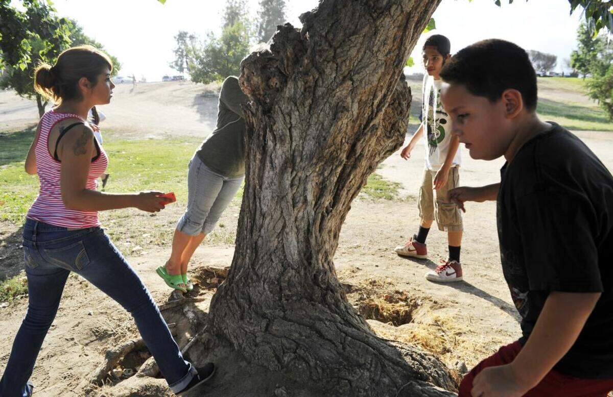 In 2014, the search for free cash included the boughs of trees at Woodward Park Hidden Cash clues led hundreds of people to swarm to Woodward Park for free cash hidden at the park. The Twitter account @HiddenCash tweeted that another round of Hidden Cash is coming to Fresno, as well as in San Diego and Los Angeles.