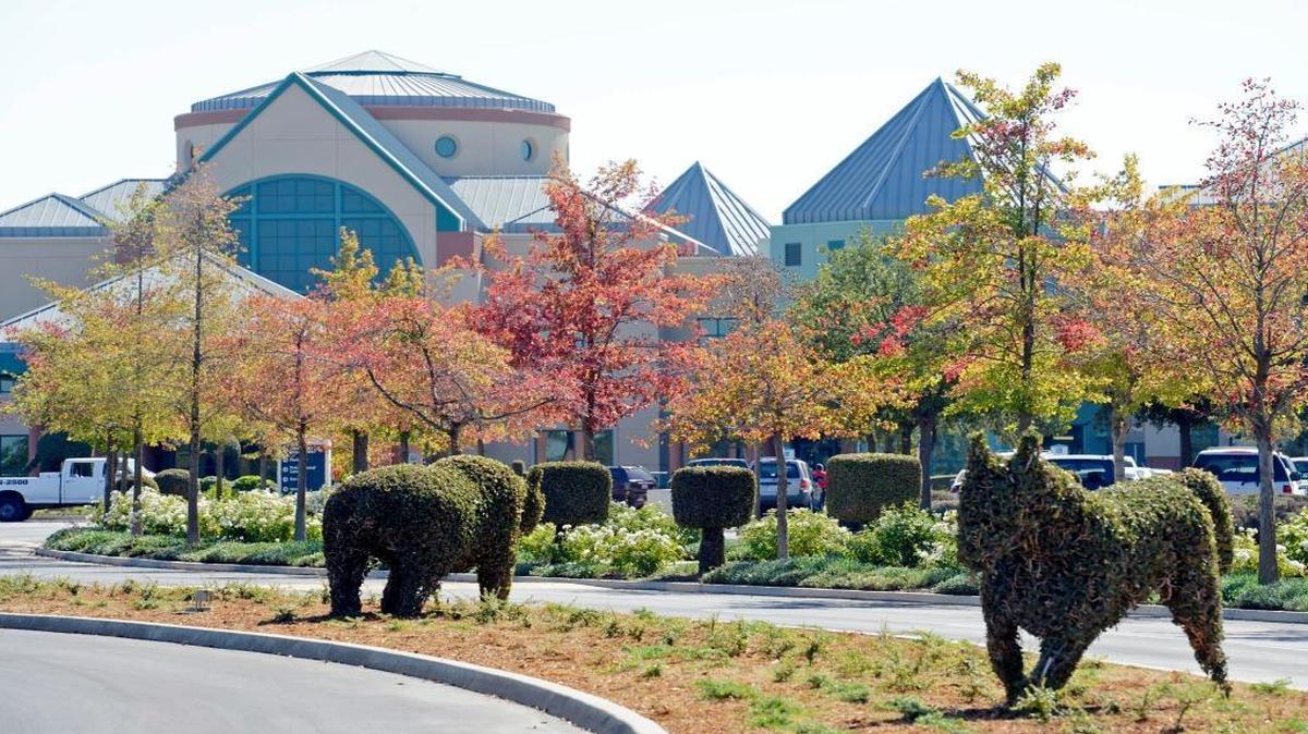 
The front entrance area of the main complex at Valley Children’s Hospital north of Fresno.

