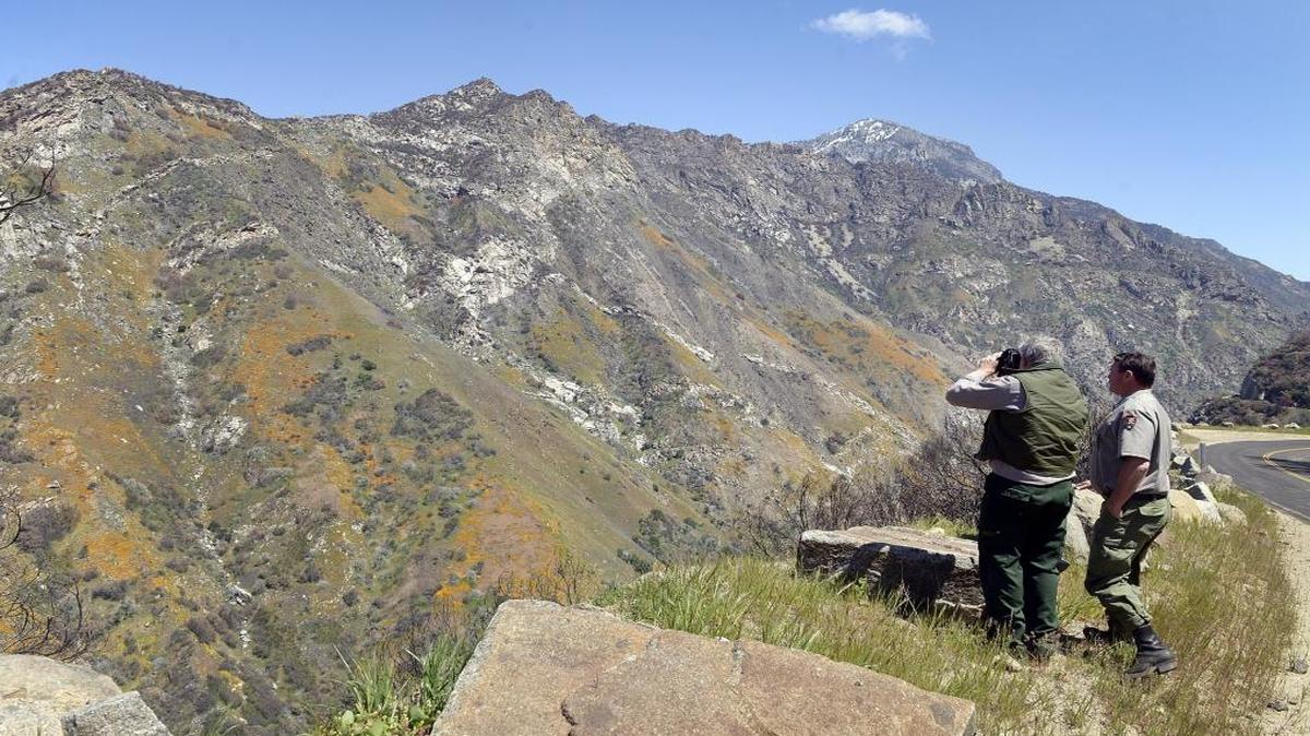 Parks Service fire ecologist Tony Caprio and fire department supervisor Robert Sanders look across Kings Canyon in the Sequoia National Forest near Kings Canyon National Park on Friday, April 15. Last summer’s Rough Fire burned along the steep hillsides of the mountains on either side of the Kings River making it a difficult stop for firefighters. The road to Cedar Grove reopens at noon Friday, April 22.