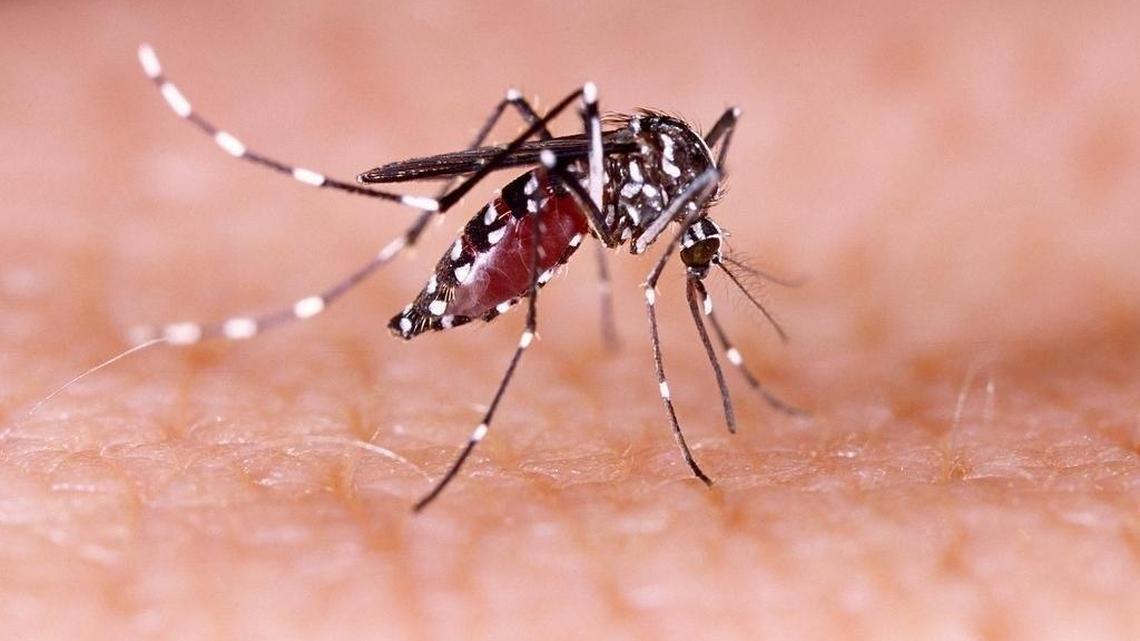 A woman in Fresno County is the first person confirmed to have contracted the Zika virus through sexual transmission, county health officials said Friday.