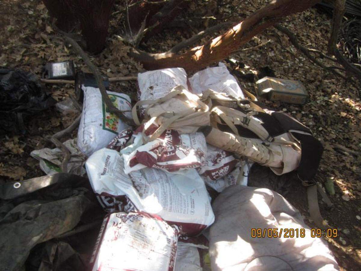 Trash and pesticides were found alongside an illegal marijuana grow in Sequoia National Park.
