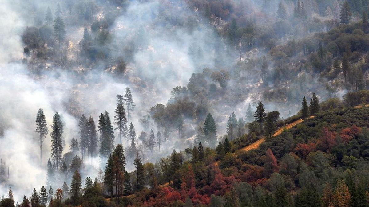 
The southern portion of the Willow fire burned close to the dozer line created for the 2001 North Fork fire, seen along the bottom right corner. The fire is now 85% contained and full containment is expected by Aug. 15. Read more at www.fresnobee.com
