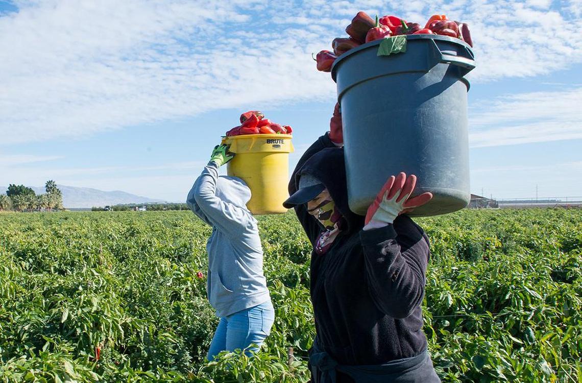 The 2022 COVID-19 Supplemental Paid Sick Leave says that in workplaces with 26 or more employees, workers are eligible for up to 80 hours of leave if they have to take time off of work due to COVID-19.