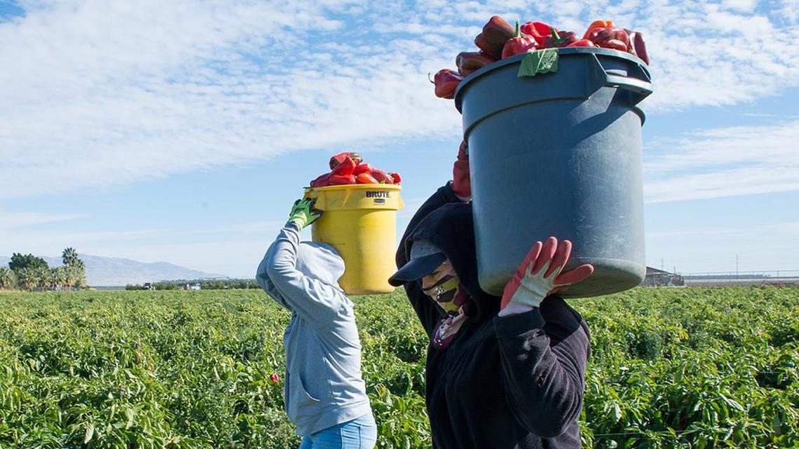 The 2022 COVID-19 Supplemental Paid Sick Leave says that in workplaces with 26 or more employees, workers are eligible for up to 80 hours of leave if they have to take time off of work due to COVID-19.