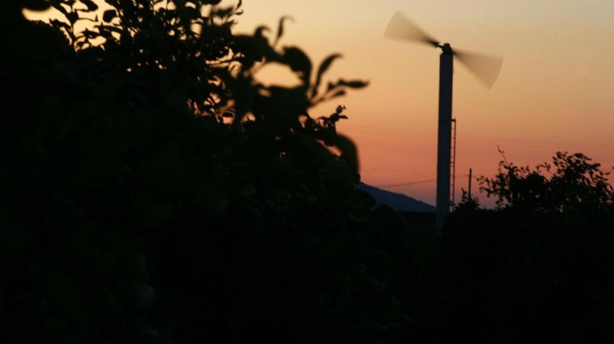 Central San Joaquin Valley growers use giant overhead fans to circulate a strong inversion layer in most citrus-producing areas. In some areas, growers also used the wind machines in early morning hours to keep the fruit dry and prevent harvesting delays.