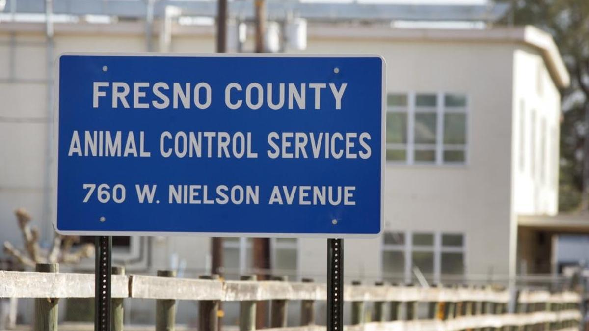 
A new Fresno County Animal Control shelter will likely be on a short list of projects for Fresno County supervisors when they discuss the county’s top priority projects for $18.4 million in one-time money.
