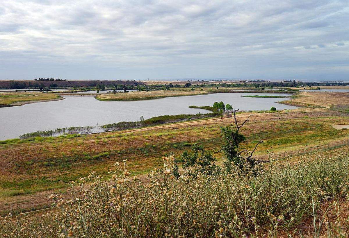 The River West Open Space Area along the San Joaquin River, photographed in 2019 from Spano Park in northwest Fresno.
