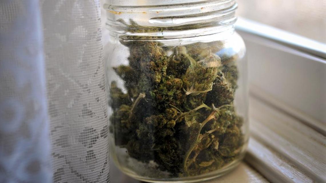 A jar of marijuana buds grown by a Fresno couple sits on the windowsill of their Fresno home. California is among nine states where recreational marijuana sales and use is legal.