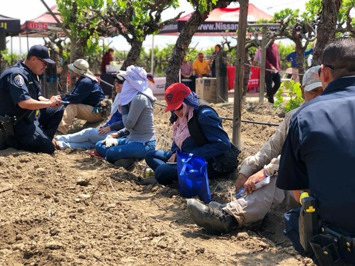 SAFE officers conduct field work talking to farm laborers about their rights and travel conditions.