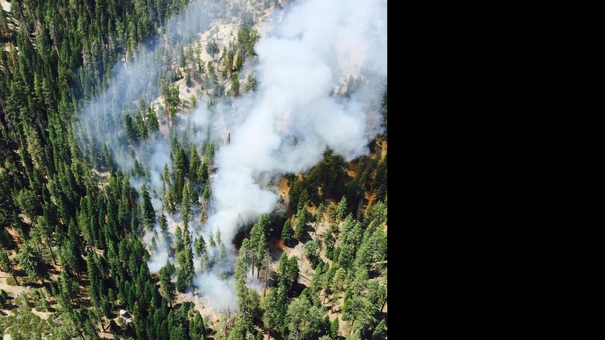 
Smoke rises from the Grey fire in Sequoia National Forest.
