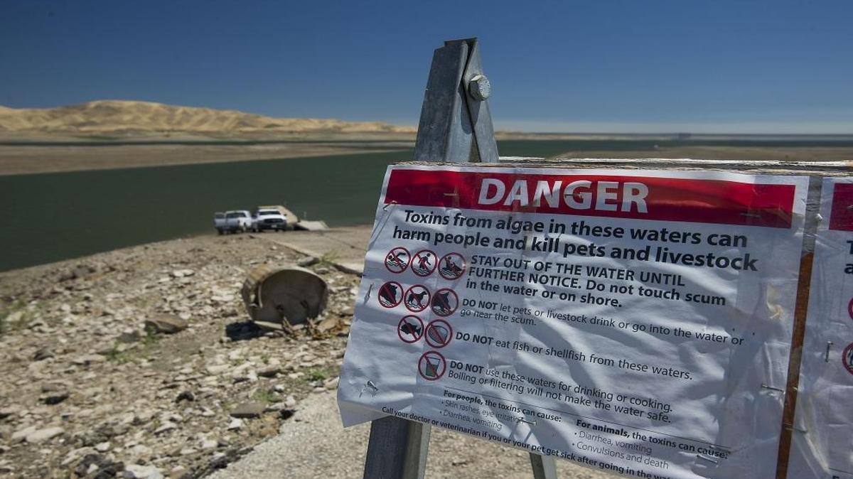 Signage on barricades near the waterline warn visitors at San Luis Reservoir in August. San Luis Reservoir is undergoing a huge algae bloom as the lake dips to its lowest levels in 25 years.