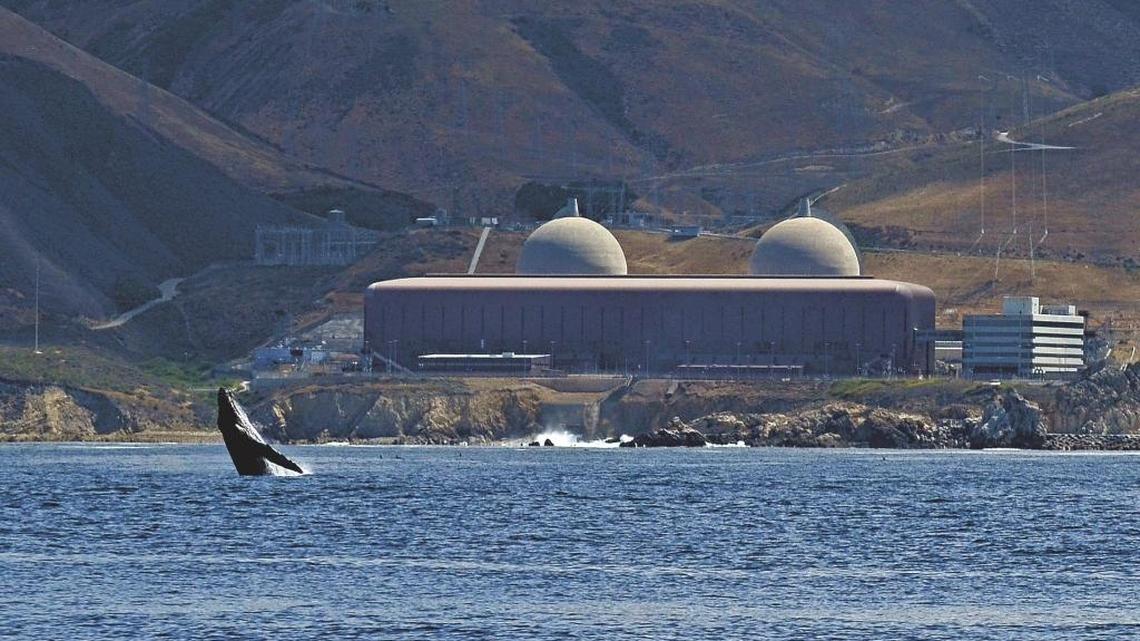 
A humpback whale breaches off the shore of Diablo Canyon.
