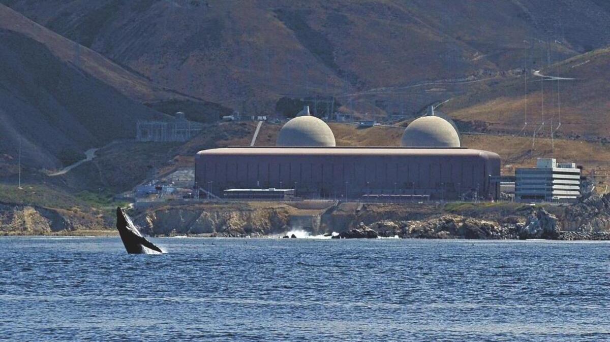 
A humpback whale breaches off the shore of Diablo Canyon.

